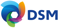 logo-dsm 1